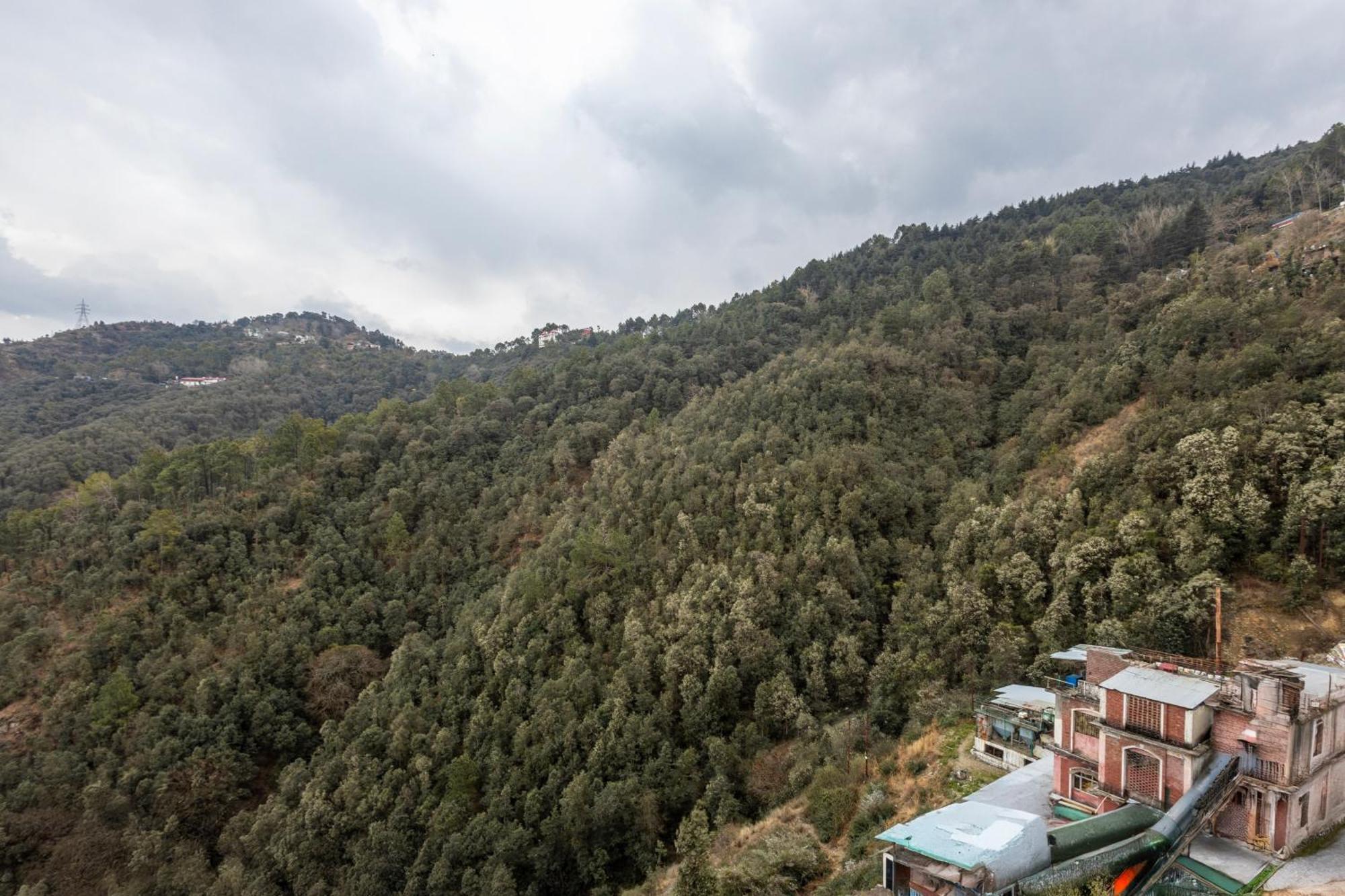Treebo Lords Garden Glory With Valley View & Centralized Heating Shimla Luaran gambar